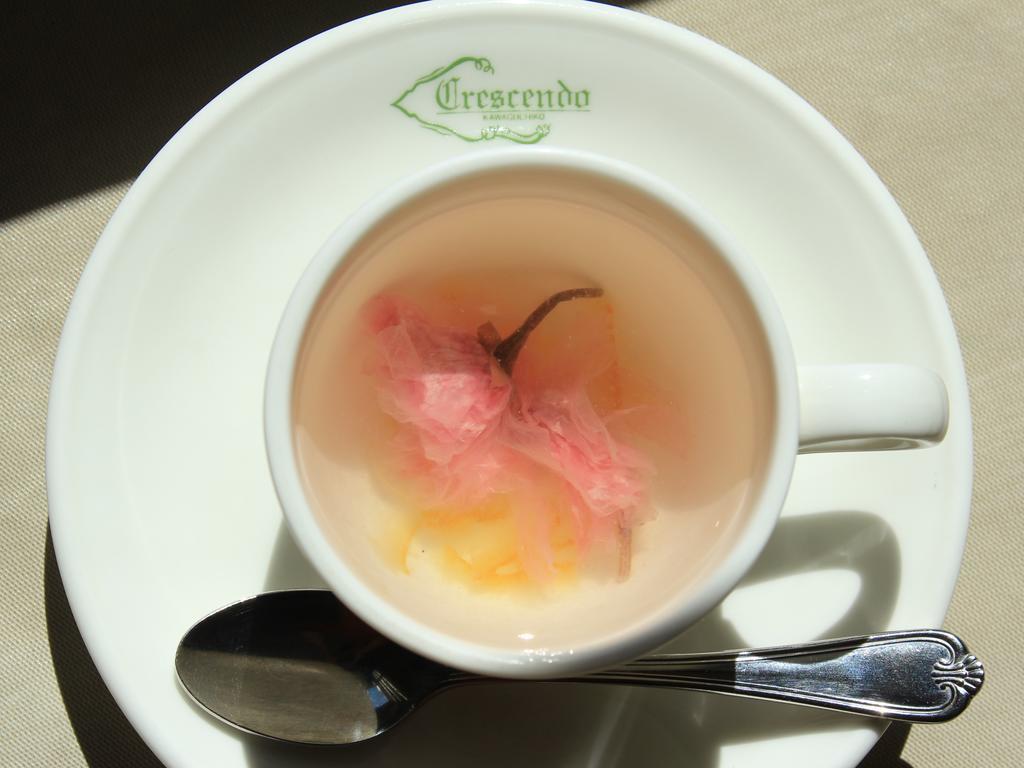 Fujikawaguchiko Crescendo Hotel Luaran gambar