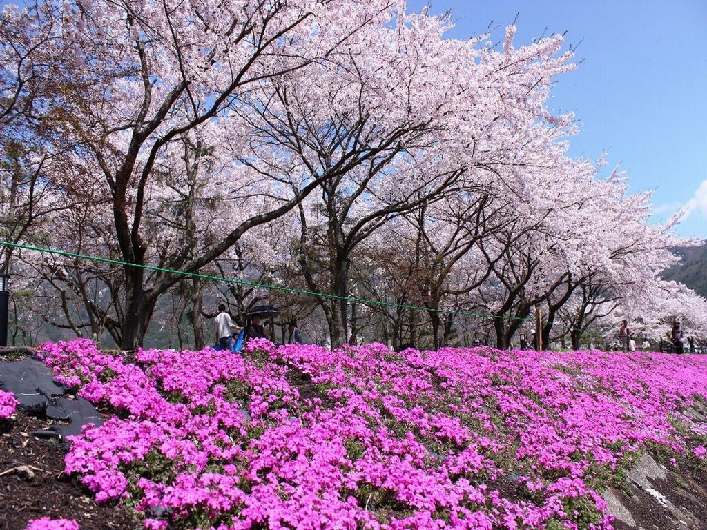 Fujikawaguchiko Crescendo Hotel Luaran gambar